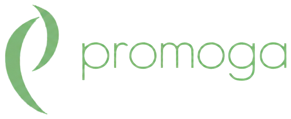 Promoga